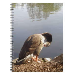 Namaste Goose bows head, Natuur, Wildlife, Vogels Notitieboek