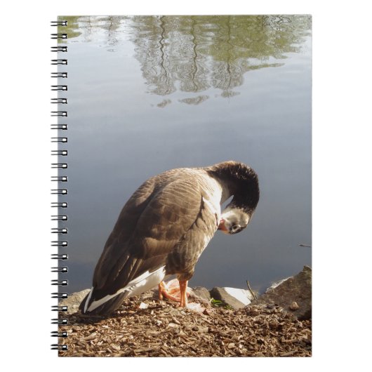 Namaste Goose bows head, Natuur, Wildlife, Vogels Notitieboek (Voorkant)