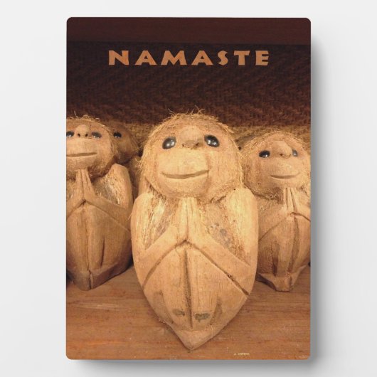 Namaste Plaque Fotoplaat (voorkant)