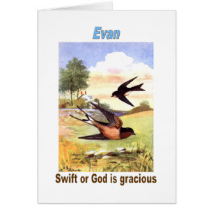 Namen en betekenis - Evan