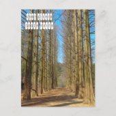 Nami Briefkaart (Voorkant)