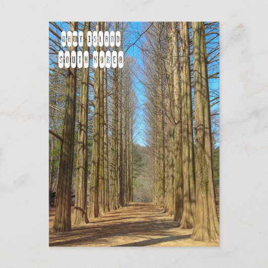 Nami Briefkaart (Voorkant)