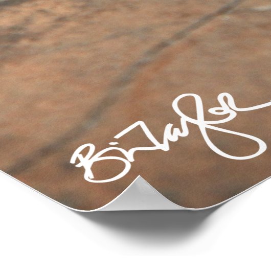 Namib Day Gecko (Bradfield's) Poster (Hoek)