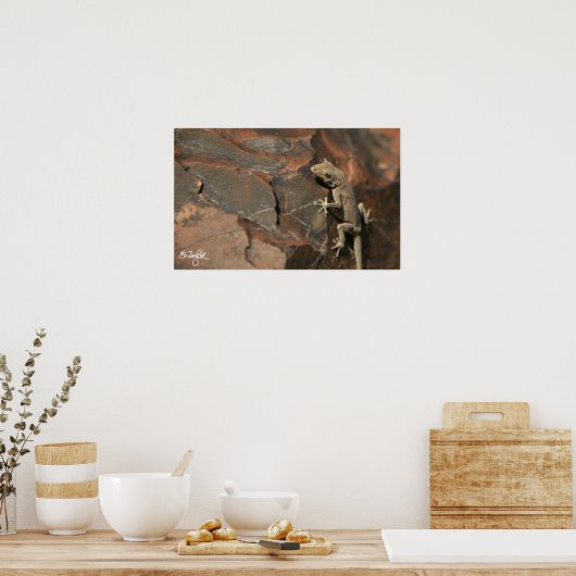 Namib Day Gecko (Bradfield's) Poster (Keuken)