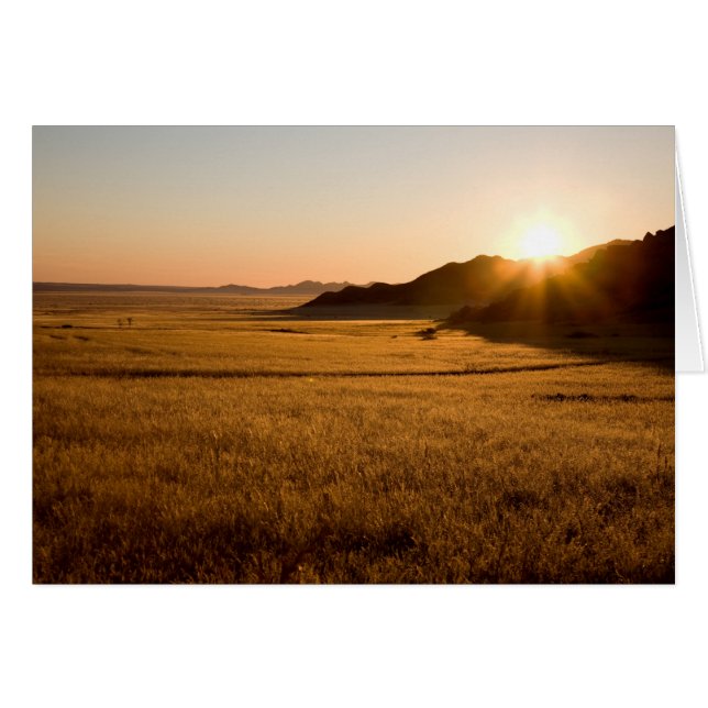 Namib Naukluft Park (Voorkant Horizontaal)