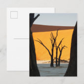 Namib-Naukluft Park, Sossusvlei | Dead Vlei Briefkaart (Voorkant / Achterkant)