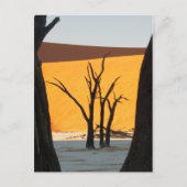 Namib-Naukluft Park, Sossusvlei | Dead Vlei Briefkaart (Voorkant)