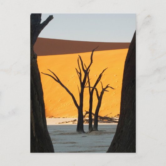 Namib-Naukluft Park, Sossusvlei | Dead Vlei Briefkaart (Voorkant)