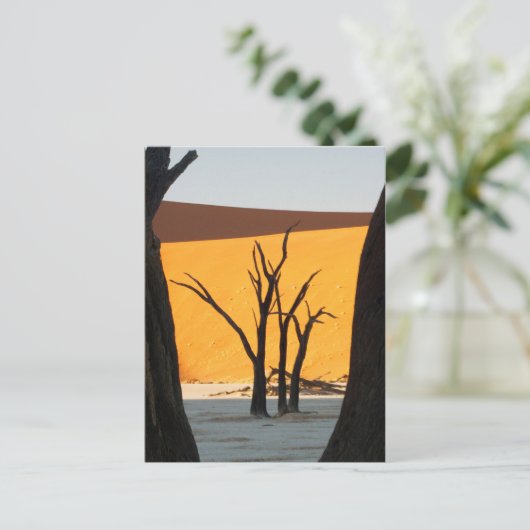 Namib-Naukluft Park, Sossusvlei | Dead Vlei Briefkaart (Staand voorkant)