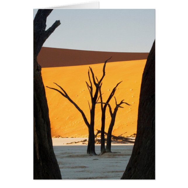 Namib-Naukluft Park, Sossusvlei | Dode Vlei (Voorkant)