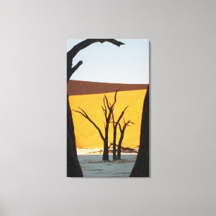 Namib-Naukluft Park, Sossusvlei Dode Vlei Canvas Afdruk