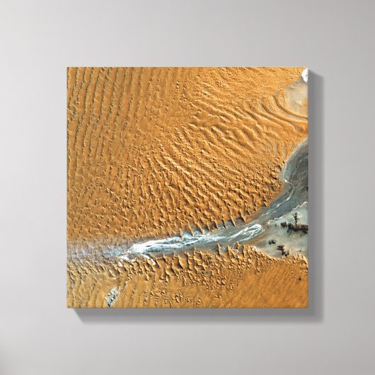 Namib-woestijn, Namibië Canvas Afdruk (Voorkant)