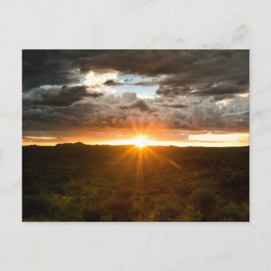 Namibia - Sunset over the player Briefkaart (Voorkant)