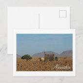 Namibië Africa Himba Settlement Structures Briefkaart (Voorkant / Achterkant)