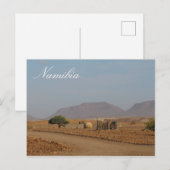 Namibië Africa Himba Settlement Structures Briefkaart (Voorkant / Achterkant)