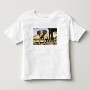 Namibië, Afrika: Baby Afrikaanse Olifant Kinder Shirts