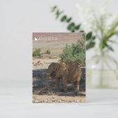 Namibië Afrika Huab Elephant Damaraland Briefkaart (Staand voorkant)