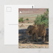 Namibië Afrika Huab Elephant Damaraland Briefkaart (Voorkant / Achterkant)