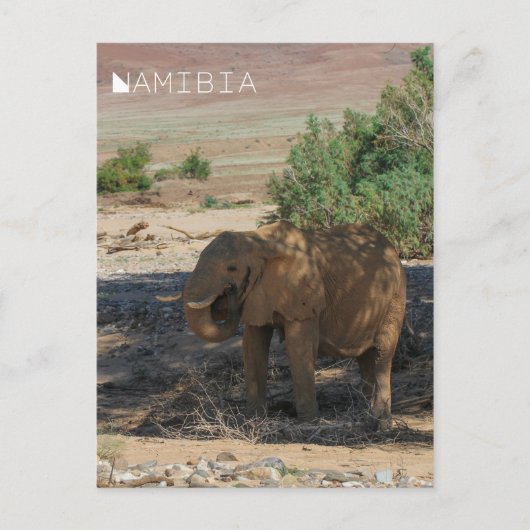 Namibië Afrika Huab Elephant Damaraland Briefkaart (Voorkant)