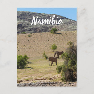 Namibië Afrika Huab Elephant Damaraland Briefkaart