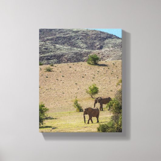 Namibië Afrika Huab Elephant Damaraland Canvas Afdruk (Voorkant)