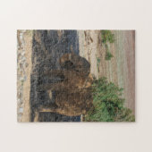 Namibië Afrika Huab Elephant Damaraland Legpuzzel (Horizontaal)