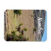 Namibië Afrika Huab Elephant Damaraland Magneet (Horizontaal)