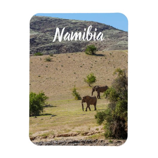 Namibië Afrika Huab Elephant Damaraland Magneet (Verticaal)