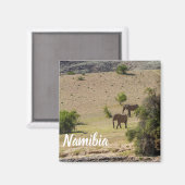 Namibië Afrika Huab Elephant Damaraland Magneet (Voorkant / Achterkant)