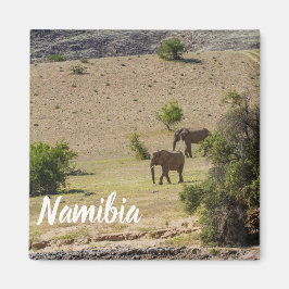 Namibië Afrika Huab Elephant Damaraland Magneet