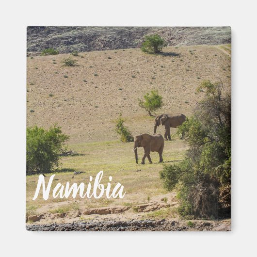 Namibië Afrika Huab Elephant Damaraland Magneet (Voorkant)