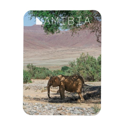 Namibië Afrika Huab Elephant Damaraland Magneet (Verticaal)