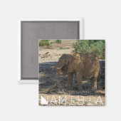 Namibië Afrika Huab Elephant Damaraland Magneet (Voorkant / Achterkant)