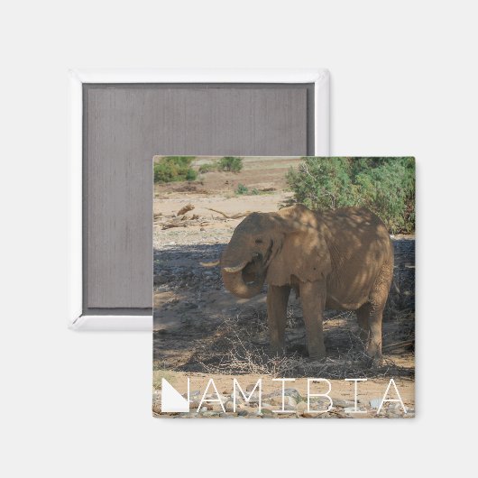 Namibië Afrika Huab Elephant Damaraland Magneet (Voorkant / Achterkant)