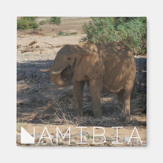 Namibië Afrika Huab Elephant Damaraland Magneet (Voorkant)