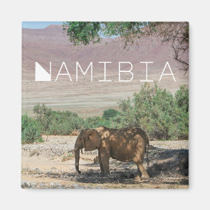 Namibië Afrika Huab Elephant Damaraland Magneet