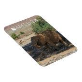 Namibië Afrika Huab Elephant Damaraland Magneet (Rechterzijde)