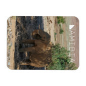 Namibië Afrika Huab Elephant Damaraland Magneet (Horizontaal)