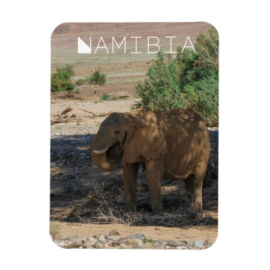 Namibië Afrika Huab Elephant Damaraland Magneet (Verticaal)