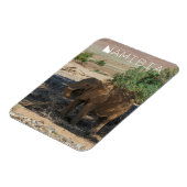 Namibië Afrika Huab Elephant Damaraland Magneet (Linkerzijde)