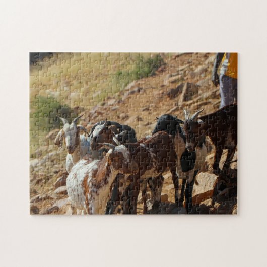 Namibië Afrika Namibisch Landschap Geiten Legpuzzel (Horizontaal)
