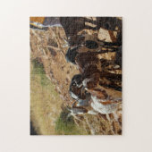Namibië Afrika Namibisch Landschap Geiten Legpuzzel (Verticaal)