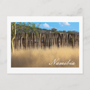 Namibië Afrika Namibische Landschap Natuur Grass Briefkaart