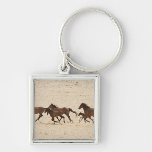 Namibië, Aus. Groep rijdende wilde paarden op Sleutelhanger (Voorkant)