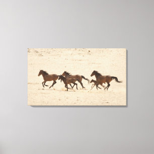 Namibië, Aus. Groep wilde paarden die rennen op Canvas Afdruk