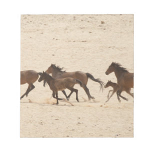 Namibië, Aus. Groep wilde paarden die rennen op Notitieblok