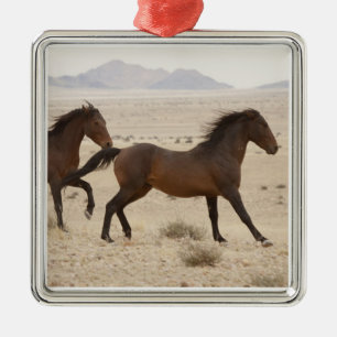 Namibië, Aus. Wilde paarden rennen op de Namib Metalen Ornament