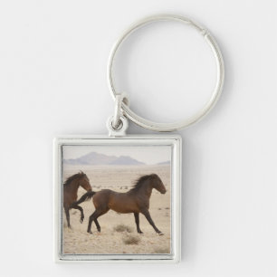Namibië, Aus. Wilde paarden rennen op de Namib Sleutelhanger