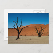 Namibië - Bomen met petrificatie op het briefkaart (Voorkant / Achterkant)