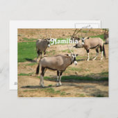 Namibië Briefkaart (Voorkant / Achterkant)